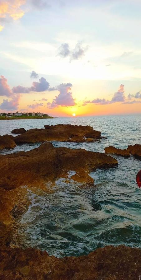 Natty'S Cozy Beach House In Hanover Jamaica Lucea Exterior foto